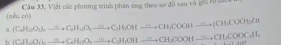 Câu 33. Viết các phương trình phản ứng theo sơ đồ sau và ghi ro
(nếu có)
a
(C_(6)H_(12)O_(3))_(3)xrightarrow (11)C_(6)H_(12)O_(6)xrightarrow (114)arrow C_(2)H_(5)OHxrightarrow [13](xrightarrow (3))CH_(2)COOHxrightarrow (141)(CH_(3)COO)
b.(C_(6)H_(12)O_(3))_(2)xrightarrow (31)CC_(6)H_(12)O_(5)xrightarrow (UND)C_(6)H_(5)OHxrightarrow (17)CH_(3)COOHxrightarrow (11)CH_(3)COOC_(2)H_{5