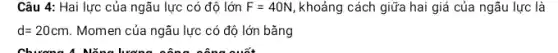 Câu 4: Hai lực của ngẫu lực có độ lớn F=40N khoảng cách giữa hai giá của ngẫu lực là
d=20cm Momen của ngẫu lực có độ lớn bǎng