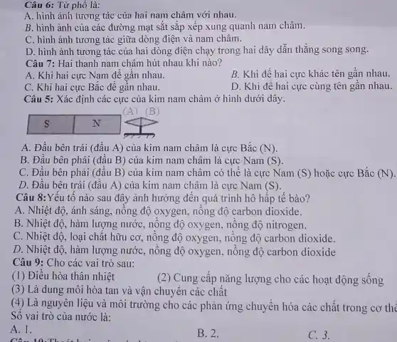 Câu 6: Từ phổ là:
A. hình ảnh tương tác của hai nam châm với nhau.
B. hình ảnh của các đường mạt sắt sắp xếp xung quanh nam châm.
C. hình ảnh tương tác giữa dòng điện và nam châm.
D. hình ảnh tương tác của hai dòng điện chạy trong hai dây dẫn thẳng song song.
Câu 7: Hai thanh nam châm hút nhau khi nào?
A. Khi hai cực Nam để gần nhau.
B. Khi để hai cực khác tên gần nhau.
C. Khi hai cực Bắc để gần nhau.
D. Khi để hai cực cùng tên gần nhau.
Câu 5: Xác định các cực của kim nam châm ở hình dưới đây.
A. Đầu bên trái (đầu A)của kim nam châm là cực Bắc (N)
B. Đầu bên phải (đầu B)của kim nam châm là cực Nam (S)
C. Đầu bên phải (đầu B)của kim nam châm có thể là cực Nam (S) hoặc cực Bắc (N).
D. Đầu bên trái (đầu A)của kim nam châm là cực Nam (S)
Câu 8:Yếu tố nào sau đây ảnh hưởng đến quá trình hô hấp tế bào?
A. Nhiệt độ., ánh sáng,nồng độ oxygen, nông đô carbon dioxide.
B. Nhiệt đô., hàm lượng nước, nông độ oxygen , nồng độ nitrogen.
C. Nhiệt đô.loại chất hữu cơ, nông độ oxygen, nông độ carbon dioxide.
D. Nhiệt đô., hàm lượng nước, nông độ oxygen,nông độ carbon dioxide
Câu 9: Cho các vai trò sau:
(1) Điều hòa thân nhiệt
(2) Cung cấp nǎng lượng cho các hoạt động sống
(3) Là dung môi hòa tan và vận chuyển các chất
(4) Là nguyên liệu và môi trường cho các phản ứng chuyển hóa các chất trong cơ th
Số vai trò của nước là:
A. 1.
B. 2.
C. 3.