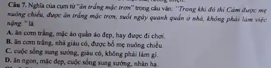 Câu 7. Nghĩa của cụm từ "ǎn trắng mặc trơn" trong câu vǎn: "Trong khi đó thì Cám được mẹ
thực thu; rương thiện,
nuông chiều, được ǎn trǎng mặc trơn, suốt ngày quanh quần ở nhà, không phải làm việc
nặng. " là
A. ǎn cơm trắng mặc áo quân áo đẹp, hay được đi chơi.
B. ǎn cơm trắng.nhà giàu có, được bố mẹ nuông chiều.
C. cuộc sống sung sướng, giàu có, không phải làm gì.
D. ǎn ngon, mặc đẹp, cuộc sống sung sướng, nhàn ha.