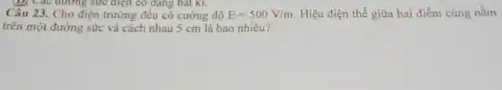 D. Các đường sức điện có dạng bất kì.
Câu 23. Cho điện trường đều có cường độ E=500V/m Hiệu điện thế giữa hai điểm cùng nằm
trên một đường sức và cách nhau 5 cm là bao nhiêu?