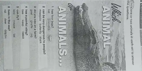 D. animals insects
Circle one or two animals in each set to answer
the questions.
2 can be very dangerous to people?
mosquito butterfly shark
3 do you see on a farm?
goat glraffe pig
4 has a painful sting?
bee wasp rabbit
6 lives in the sea?
rat deer dolphin
