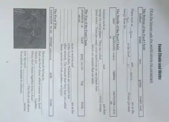Food Ehain and Webs
Fill in the blanks with the words above the paragraph.
The Bottom of the Food Chain
Plants such as __ and	are at the
__ of the food	. Plants get their
energy from the __ .
The Middle of the Food Chain
deer	herbivores: đ.vật ǎn	rabbits	carnivores:đ.vật ǎn
cỏ	thịt
Animals such as __ and __ get their
energy by eating plants They are called __ , which means
"plant eaters." There are many more herbivores on our planet than
__ , which are animals that eat meat.
The Top of the Food Chain
predators: vật
sǎn mồi
hunt
prey: con mồi
top
lions
__ such as wolves and __ are at the
__ of the food chain Predators are animals that
__ other animals. The animals that they hunt are called
__ . Some animals are both predator and prey.
The Food Web
connected: liên kết energy: nǎng lượng
web
more
Most animals belong to __
than one food chain which means many food
chains are __ together.
Many food chains together form a food
__ . The food web shows
how the sun's __ moves
from plants to animals to animals.