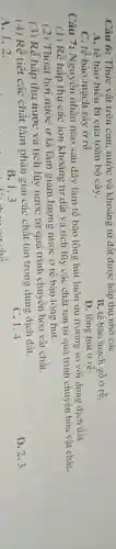 Câu 6: Thực vật trên cạn, nước và khoảng từ đất được hập thụ nhờ các
B. tế bào mạch gỗ ở rễ.
A. tế bào biêu bì của toàn bộ cây.
C. tế bào mạch rây ở rễ
D. lông hút ở rhat (e).
Câu 7: Nguyên nhân nào sau đây làm tế bào lông hút luôn ưu trương so với dung dịch đất
(1) Rễ hấp thụ các ion khoáng từ đất và tích lũy các chất tan từ quá trình chuyển hóa vật chất.
(2) Thoát hơi nước ơ lá làm giảm lượng nước ở tế bào lông hút.
(3) Rễ hấp thụ nước và tích lũy nước từ quá trình chuyển hóa vật chất.
(4) Rễ tiết các chất làm phân giải các chât tan trong dung dịch đất.
A. 1.2.
B. 1.3
C. 1.4
D. 2,3