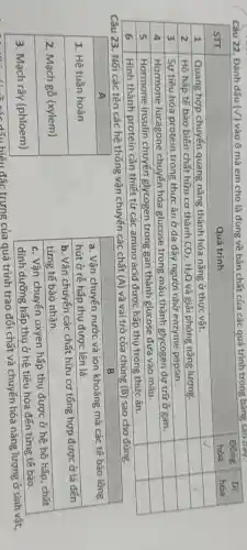 Câu 22. Đánh dấu (surd ) vào ô mà em cho là đúng về bản chất của các quá trinh trong bảng sau dây.
square 
square 
square 
square 
square 
square 
square 
square 
square 
square 
square 
square 
Câu 23. Nối các tên các hệ thống vận chuyển các chất (A) và vai trò của chúng
(B) sao cho đúng.
A
1. Hệ tuần hoàn
2. Mạch gỗ (xylem)
3. Mạch rây (phloem)
B
a. Vận chuyển nước và ion khoáng mà các tế bào lông
hút ở rễ hấp thụ được lên lá.
b. Vận chuyển các chất hữu cơ tổng hợp được ở lá đến
từng tế bào nhận.
c. Vận chuyển oxyen hấp thụ được ở hệ hô hấp, chất
dinh dưỡng hấp thụ ở hệ tiêu hóa đến từng tế bào.
dấu hiệu đắc trưng của quá trình trao đổi chất và chuyển hóa nǎng lượng ở sinh vật,