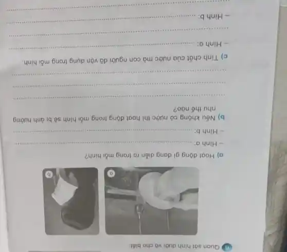 Quan sát hình dưới và cho biết:
a) Hoạt động gì đang diễn ra trong mỗi hình?
- Hinh a: __ immunit ( ) 1. I
- Hinh b: __ ......................................................................
b) Nếu không có nước thì hoạt động trong mỗi hình sẽ bị ảnh hưởng
như thế nào?
__
.................". "minimum	it - - .....- 11 :a
...........1111 ...........- - - .... .- . . .inititit true - - .
c) Tính chất của nước mà con người đã vận dụng trong mỗi hình.
__
- Hinh a:......................................................................
................................- . . I ..	.............. .
- Hinh b:- I I I .
.......................................................................