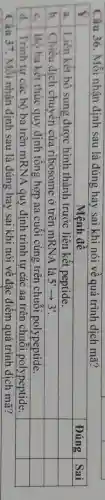 Câu 36. Mỗi nhân định sau là đúng hay sai khi nói về quá trình dịch mã?
square 
square 
square 
square 
square 
square 
d. Trình tự các bộ ba trên mRNA quy định trình tự các aa trên chuỗi polypeptide.
square 
square 
Câu 37. Mỗi nhận định sau là đúng hay sai khi nói về đặc điểm quá trình dịch mã?