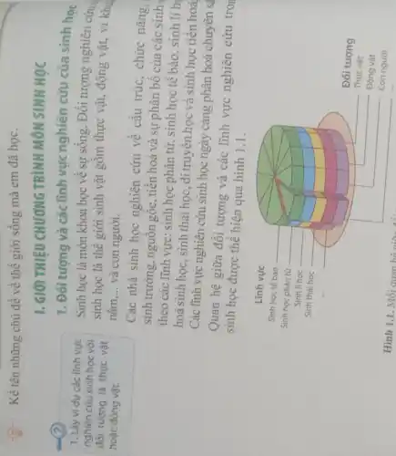 (?)
1. Lấy ví dụ các lĩnh vực
nghiên cứu sinh học với
đối tượng là thực vật
hoặc động vật.
Kề tên những chủ đề về thế giới sống mà em đã học.
I. GIỚI THIÊU CHƯƠNG TRÌNH MÔN SINH HỌC
1. Đối tượng và các lĩnh vực nghiên cứu của sinh học
Sinh học là môn khoa học về sự sông. Đôi tượng nghiên cứu
sinh học là thế giới sinh vật gôm thực vật, động vật.vi khu
nâm __ và con người.
Các nhà sinh học nghiên cứu về cấu trúc, chức nǎng,
sinh trưởng, nguồn gốc, tiên hoá và sự phân bố của các sinh
theo các lĩnh vực : sinh học phân tử, sinh học tế bào, sinh lí h
hoá sinh học, sinh thái học., di truyên học và sinh học tiến hoá
Các lĩnh vực nghiên cứu sinh học ngày càng phân hoá chuyên sâ
Quan hệ giữa đối tượng và các lĩnh vực nghiên cứu tron
sinh học được thể hiện qua hình 1.1.